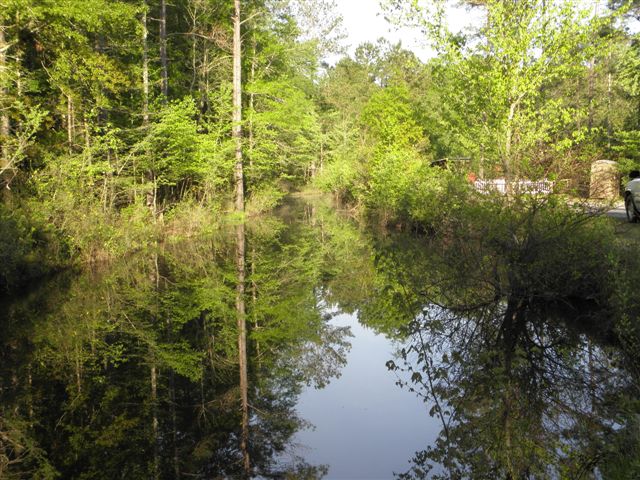 slideshow